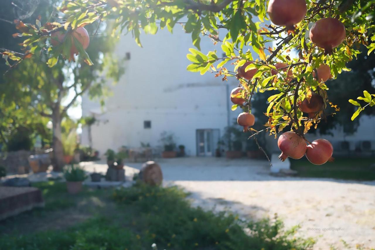 Rooms Masseria Giangrande Polignano a Mare Zewnętrze zdjęcie