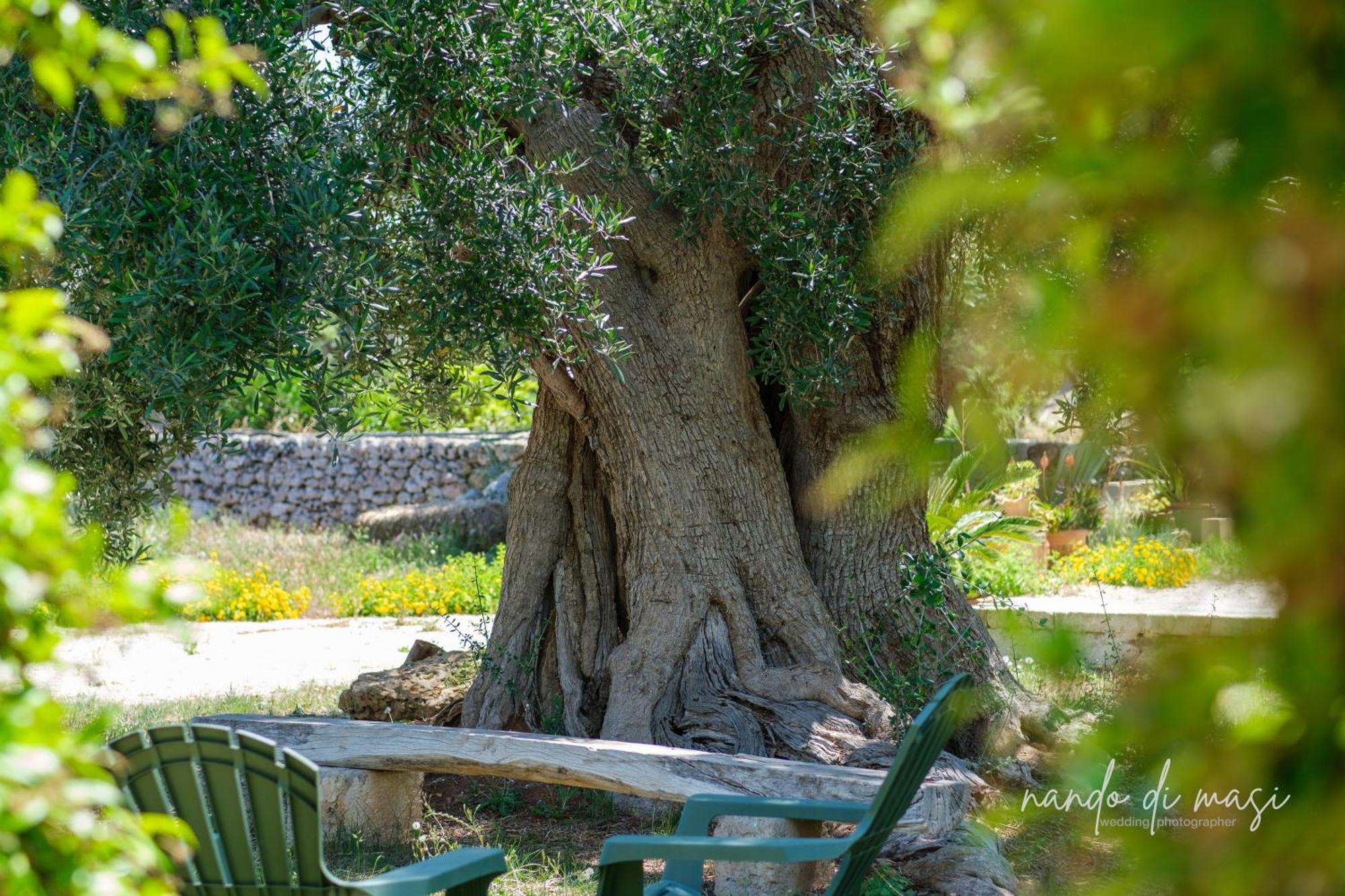 Rooms Masseria Giangrande Polignano a Mare Zewnętrze zdjęcie